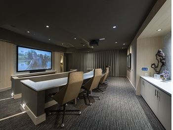 Theatre Room